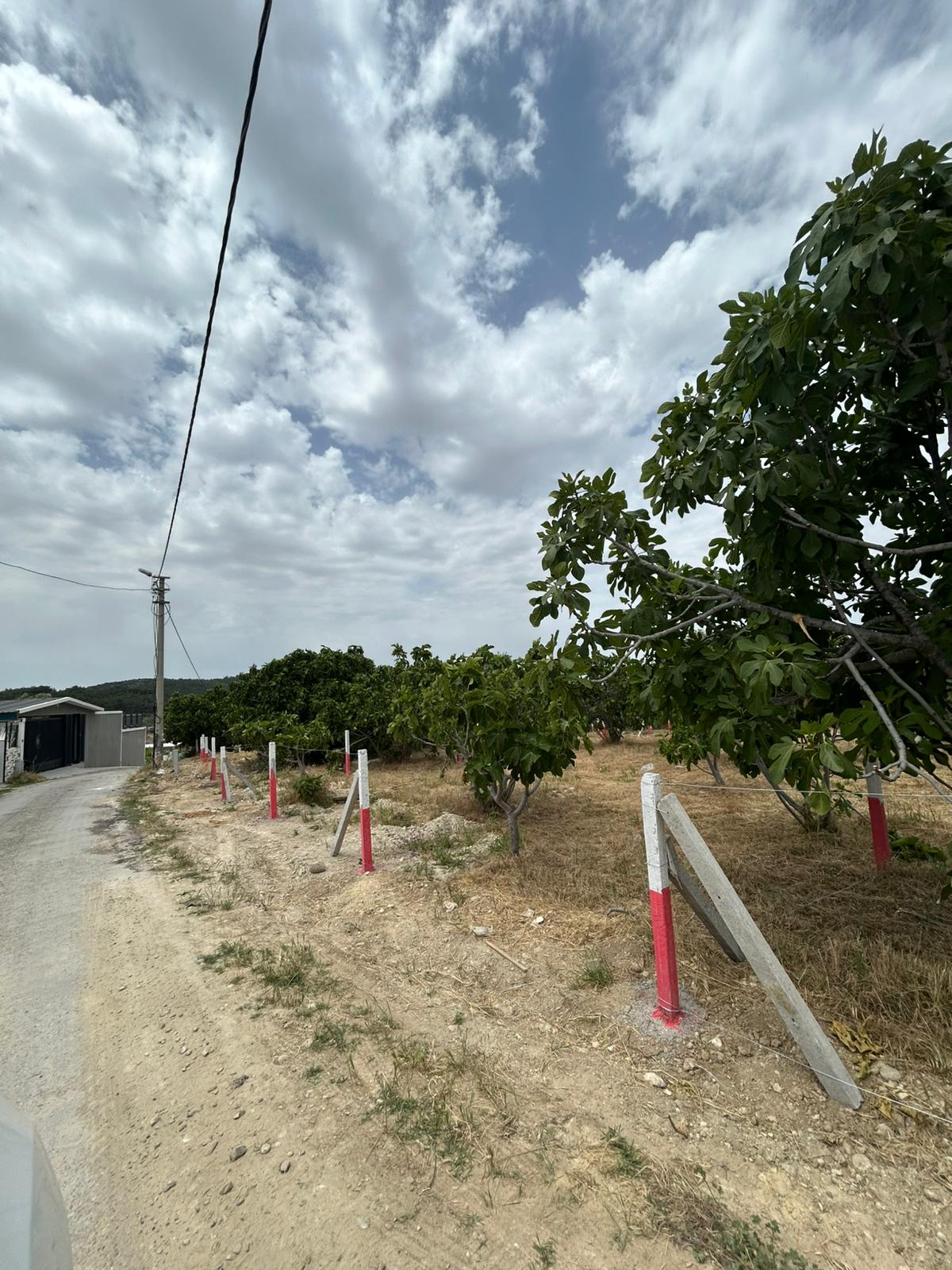 Gülümseyen 40 yaşında kadın portresi, orta uzunlukta siyah saçlı, açık tenli